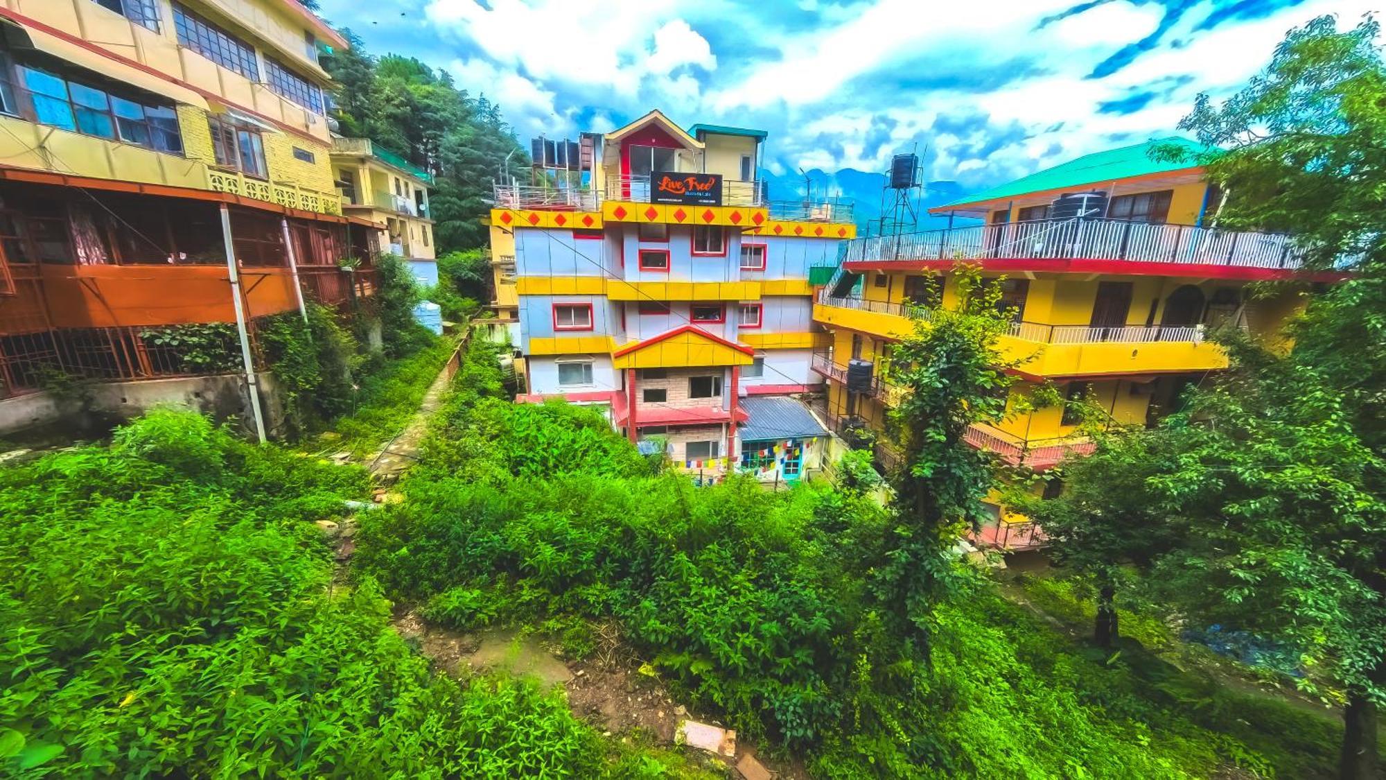Live Free Hostel, Mcleodganj McLeod Ganj Buitenkant foto